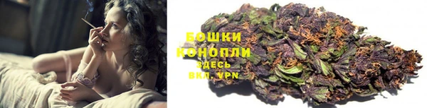 ГАЛЛЮЦИНОГЕННЫЕ ГРИБЫ Балабаново