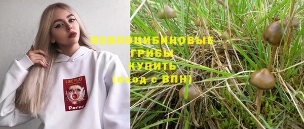 стаф Балахна