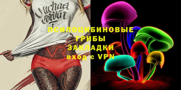 ГАЛЛЮЦИНОГЕННЫЕ ГРИБЫ Балабаново