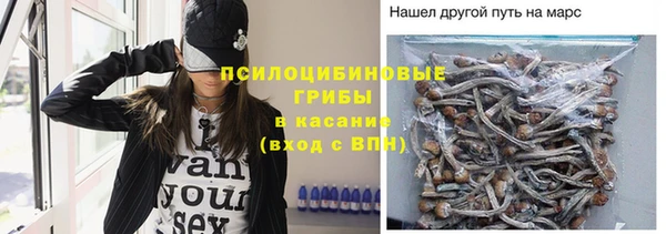 ГАЛЛЮЦИНОГЕННЫЕ ГРИБЫ Балабаново