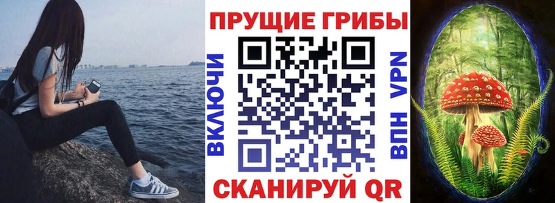 Галлюциногенные грибы прущие грибы  это клад  Лабытнанги 